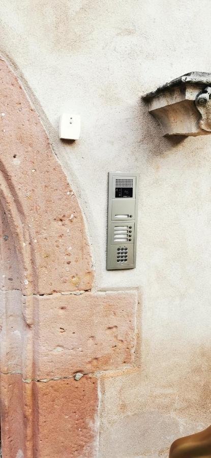 Le Rhenanus Jacques Taurellus - Appartement Duplex Au Calme - Centre Ville - Parking Gratuit セレスタ エクステリア 写真