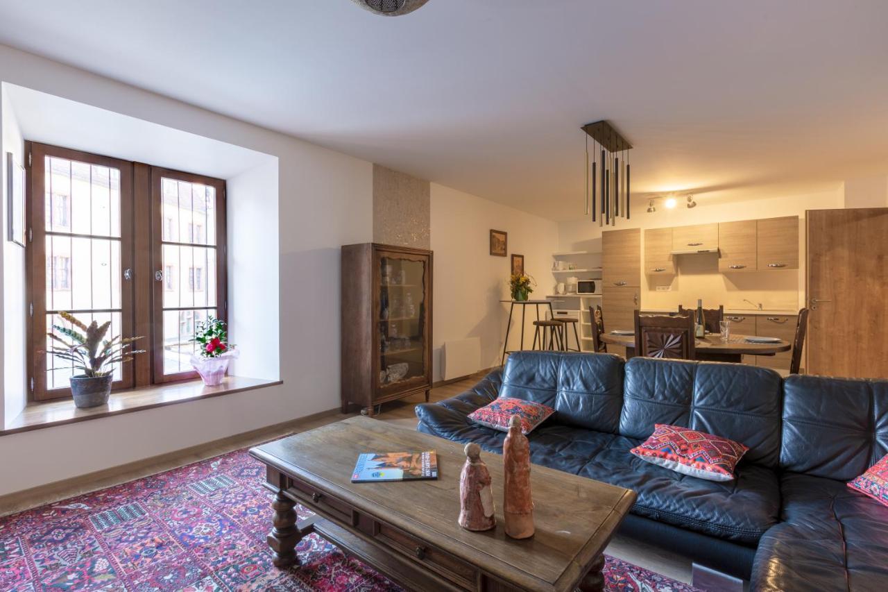 Le Rhenanus Jacques Taurellus - Appartement Duplex Au Calme - Centre Ville - Parking Gratuit セレスタ エクステリア 写真