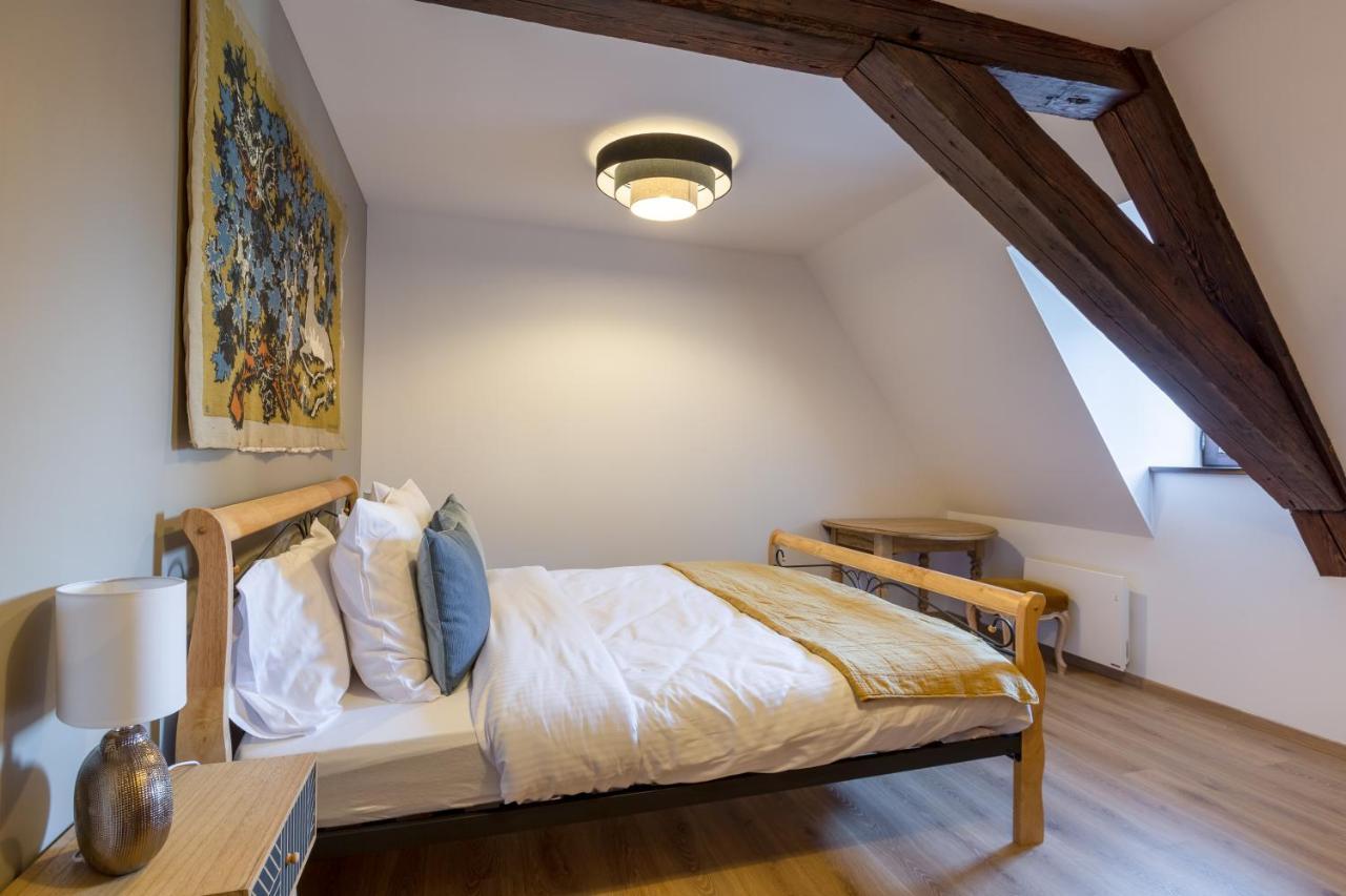 Le Rhenanus Jacques Taurellus - Appartement Duplex Au Calme - Centre Ville - Parking Gratuit セレスタ エクステリア 写真